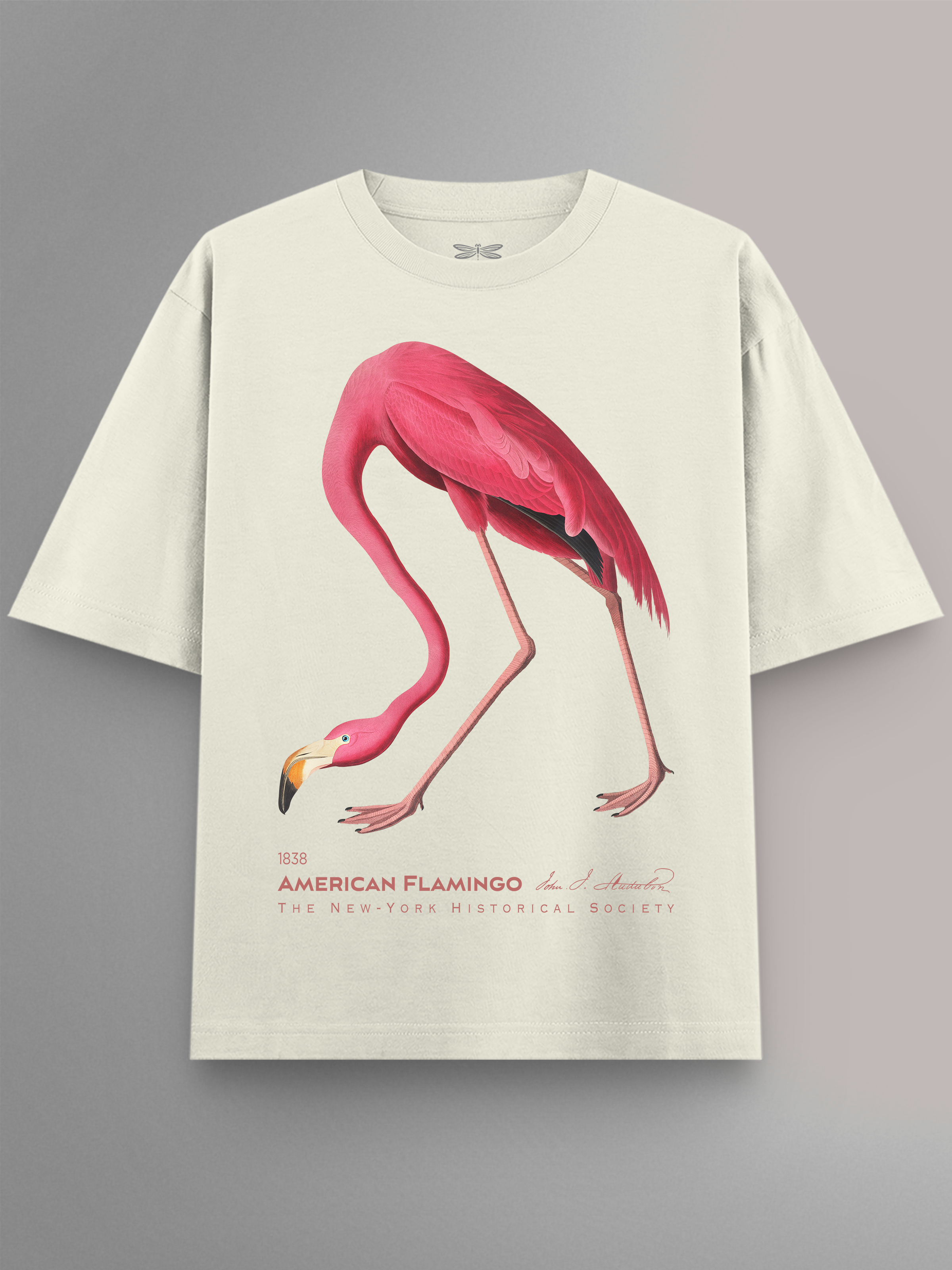 American Flamingo Oversized T-Shirt